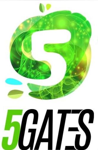 5Gates Group Activity